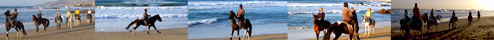 Reiten