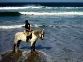 reiten_3 reiten_3